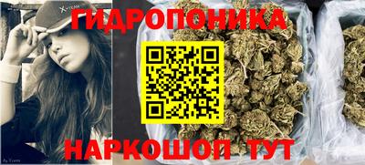 гидра Татарск
