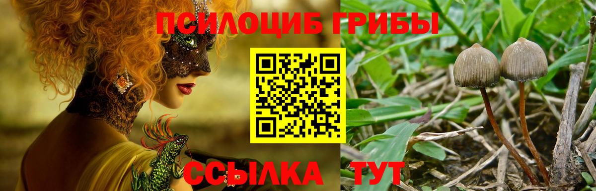 Псилоцибиновые грибы мухоморы Новый Уренгой