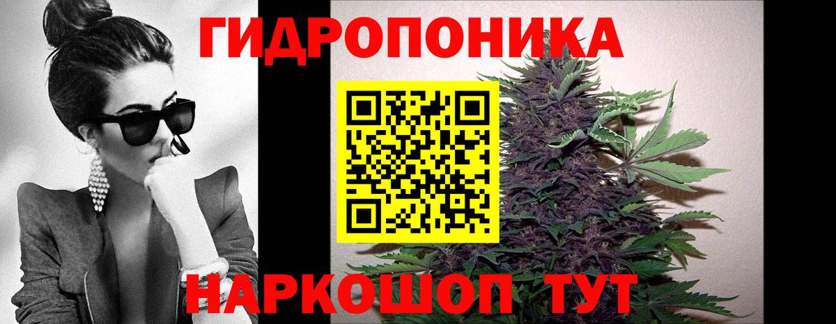 МАРИХУАНА VHQ  Вход с VPN  МАРИХУАНА THC 21%  Бошки Шишки планчик  Новый Уренгой 